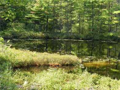 80 Half Moon Trail, Sumner, ME 04292 - photo 6