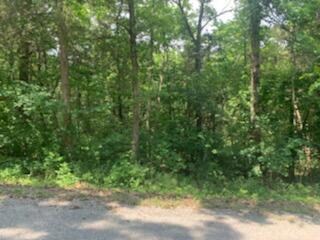 Wooded Lot near TBL