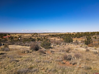 17467 Road 27 7, Dolores, CO 81323 - photo 2