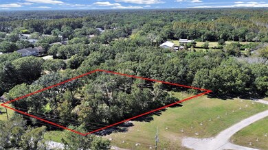 16906 Lakeshore Rd, Lutz, FL 33558 - photo 6