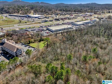 580 Goldenrod Dr unit 1, Birmingham, AL 35215 - photo 3