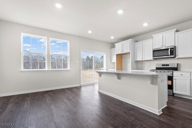 175 Mantoloking Dr, Jackson Township, NJ 08527 - photo 6