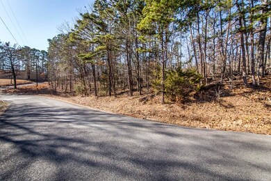 Lot B,C & D Traway Lane Stanfield Rd, Edgemont, AR 72044 - photo 5