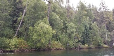 Chilkat Lake Lot 12 Blk 8