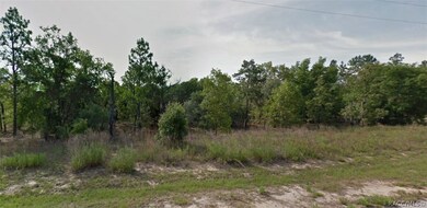 2501 W Bravura Dr, Citrus Springs, FL 34433 - photo 2