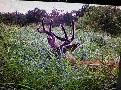 40 Ac County Road C, Orange, WI 54618 - photo 3