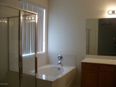 separate tub/shower