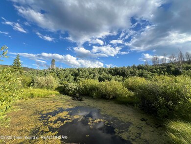 127 Mountain View Dr, Bondurant, WY 82922 - photo 5