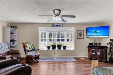 CREM - 142 Moncks Corner Rd-window tv