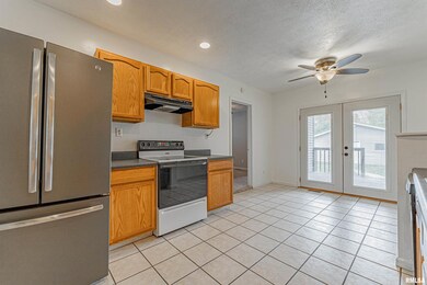 416 N Hamilton St, Lincoln, IL 62656 - photo 6