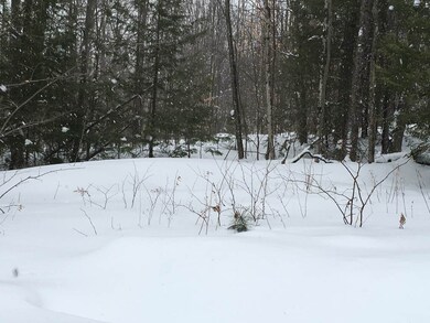 0 Bridgewater Hill Rd, Bridgewater, NH 03222 - photo 5