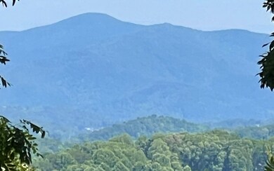 Additional View