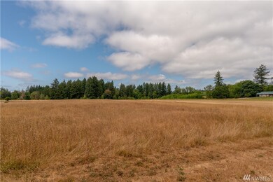 0 Howe Rd unit 1337679, Toledo, WA 98591 - photo 6