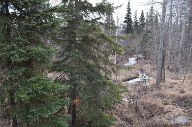 Backs to Little Campbell Creek