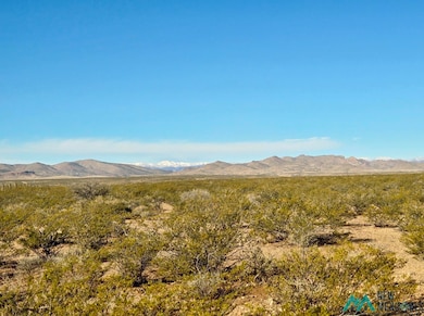 888 Las Palomas Canyon Rd Roads, Las Palomas, NM 87942 - photo 4