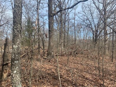 0 Kings Lynn Ln unit 1143367, Bella Vista, AR 72715 - photo 4