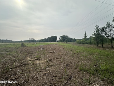 0 Highway 22 A, Enville, TN 38332 - photo 3