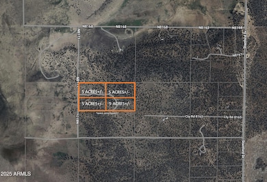 26 County Road N8171 --, Concho, AZ 85924 - photo 4