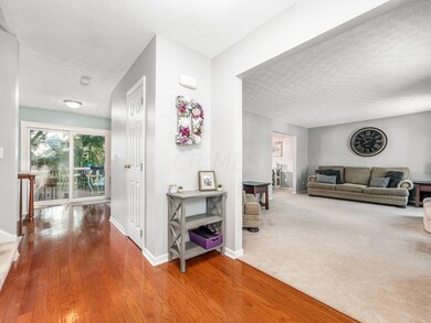 Foyer to Living Room