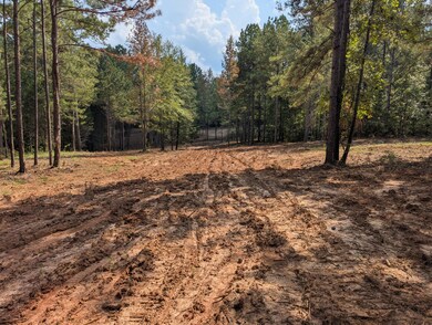 6982 Moontown Dr E, Appling, GA 30802 - photo 4