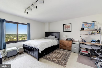 203 Yoakum Pkwy unit 1716, Alexandria, VA 22304 - photo 3