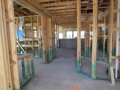 24342 Dyer Hill Way, Richmond, TX 77469 - photo 5