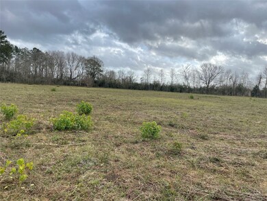 000 County Road 2367, Hardin, TX 77575 - photo 5