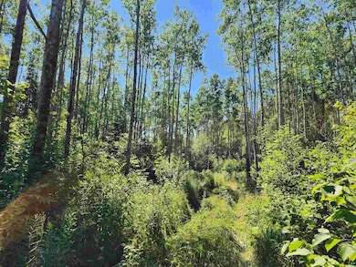 XX Black Granite Tr, Hovland, MN 55606 - photo 6