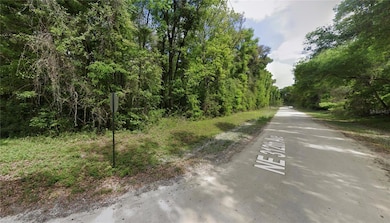 0 NE 312th Ave unit MFRO6365158, Old Town, FL 32680 - photo 2