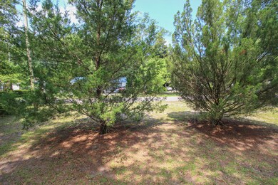Front Yard (1 of 1)-2