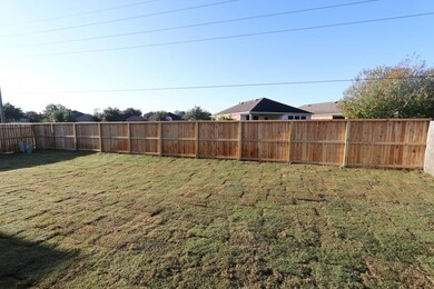 24323 Dyer Hill Way, Richmond, TX 77469 - photo 3
