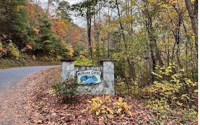 6 Morgan Ridge Ct, Young Harris, GA 30582 - photo 2