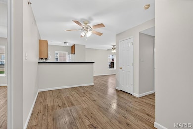 159 Brandy Mill Cir unit 28D, High Ridge, MO 63049 - photo 4