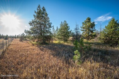 NNA Arden Ln Lot 2, Athol, ID 83801 - photo 4