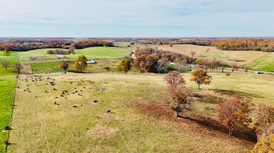 000 State Route W, Granby, MO 64844 - photo 4