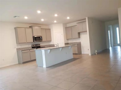 13372 Golden Lime Ave, Spring Hill, FL 34609 - photo 5