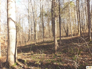 Lots 16R & 17R Runaway Dr, Fountain Run, KY 42133 - photo 5