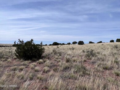0 Poplar St, Snowflake, AZ 85937 - photo 7
