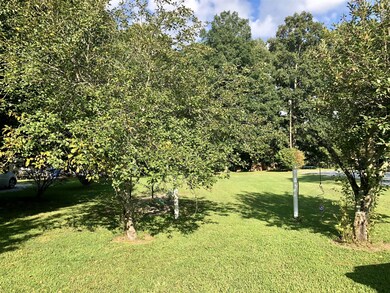 0 Fredonia Rd, Manchester, TN 37355 - photo 3