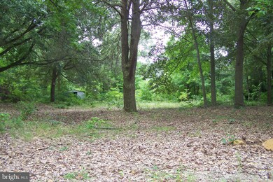 138 Char Nor Manor Blvd, Chestertown, MD 21620 - photo 3