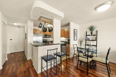 30 E Huron St unit 5410, Chicago, IL 60611 - photo 4