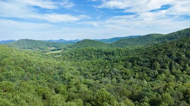 Tr 3 Glenn Elliot Rd, Dahlonega, GA 30533 - photo 6