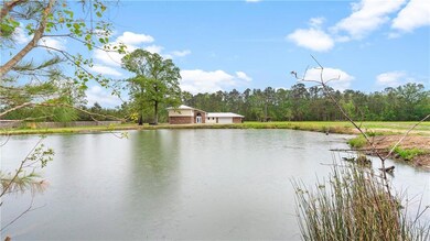 POND VIEW