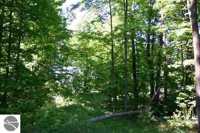 13506 S Bahia Vista Dr unit 17, Traverse City, MI 49684 - photo 2