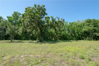 0 Cr 672 unit T3196298, Lithia, FL 33547 - photo 3