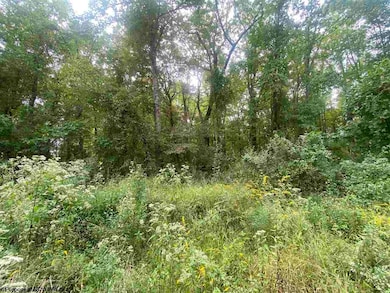 TBD Helens Run Rd, Worthington, WV 26591 - photo 7