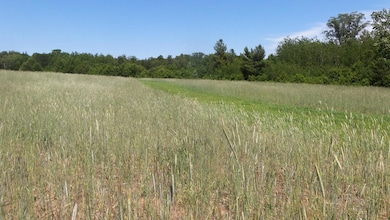 L0T 17 Red Maple Ln, Siren, WI 54872 - photo 3