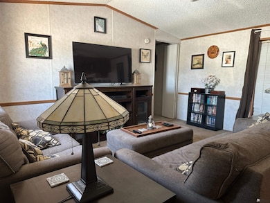 10237 Mohawk Blvd, Wellton, AZ 85356 - photo 3