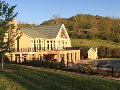 Clubhouse & pool