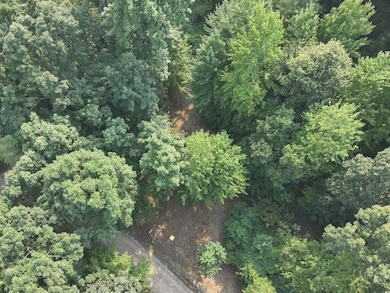 Frushour Dr Lot unit WP001, Holly, MI 48442 - photo 2